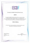 ECDF 2019